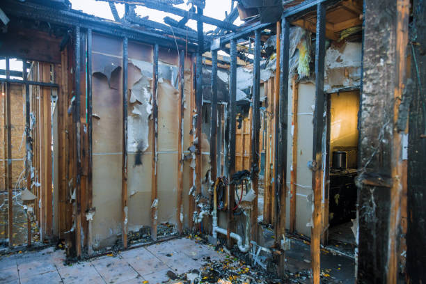 Professional Fire Damage Removal technician working in Albertville, AL